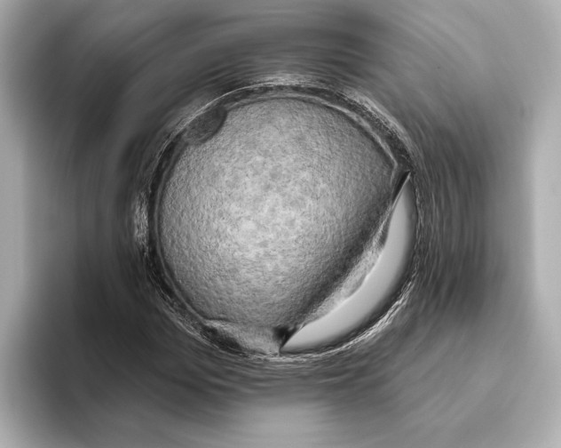 X0000095680969200802051248