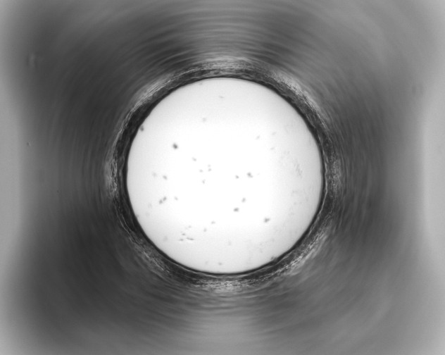 X0000095680970200802051247