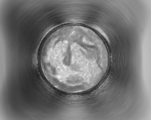 X0000095680972200802051247