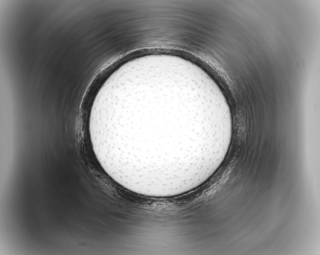 X0000095680974200802051247