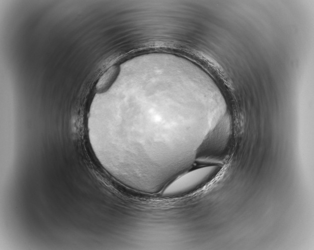 X0000095680977200802051247