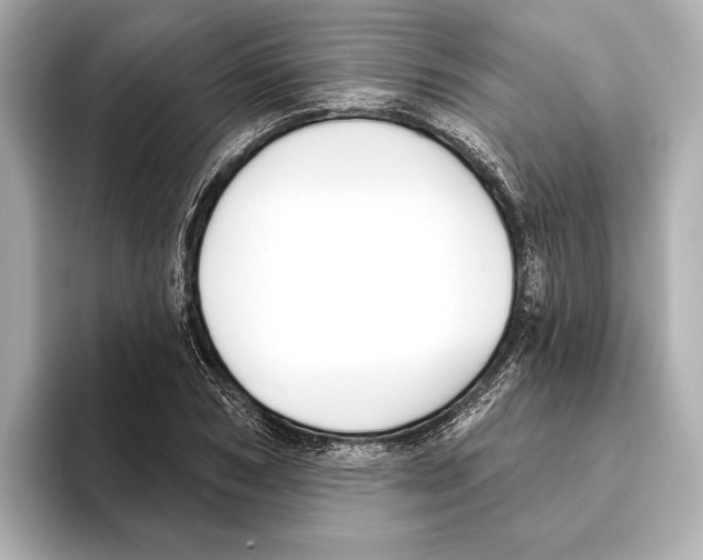 X0000095680978200802051247