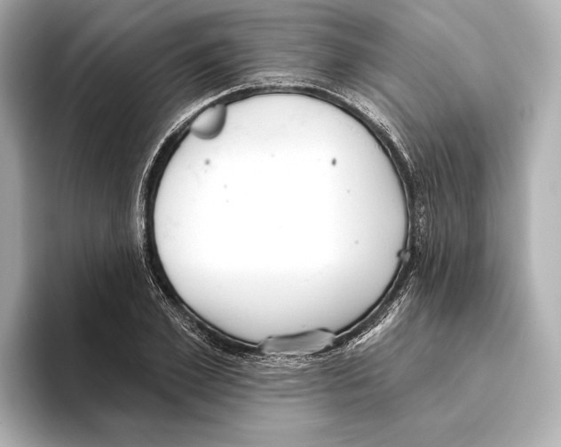 X0000095680981200802051247