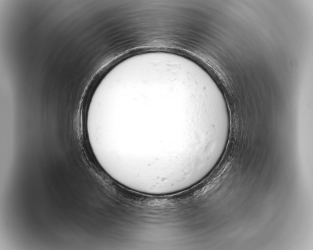 X0000095680982200802051247