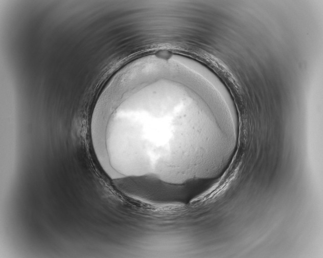 X0000095680985200802051247