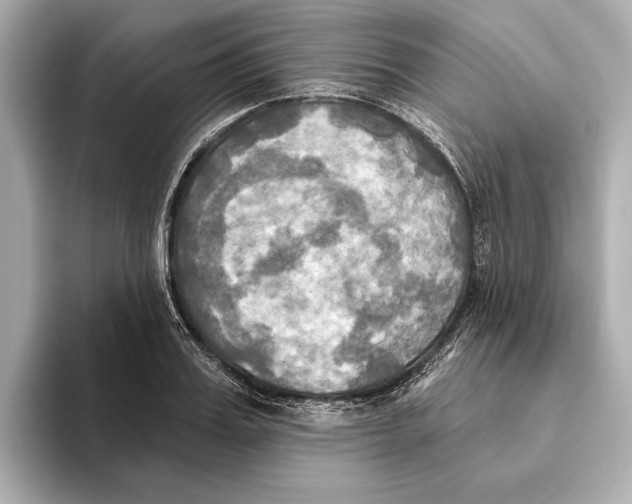 X0000095680987200802051247