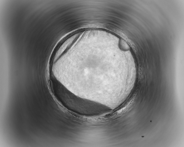 X0000095680988200802051247