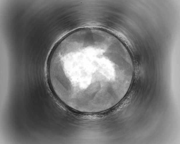 X0000095680990200802051247