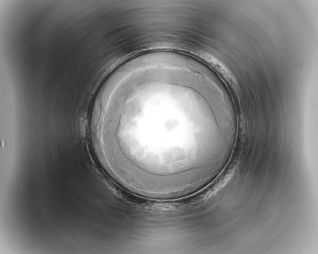 X0000095680993200802051247