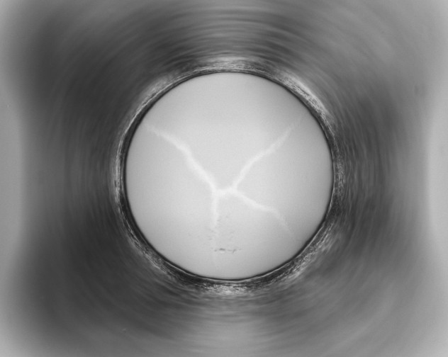 X0000095680994200802051247