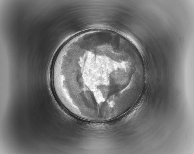 X0000095680999200802051247