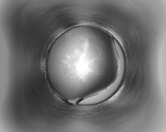 X0000095681001200802051247