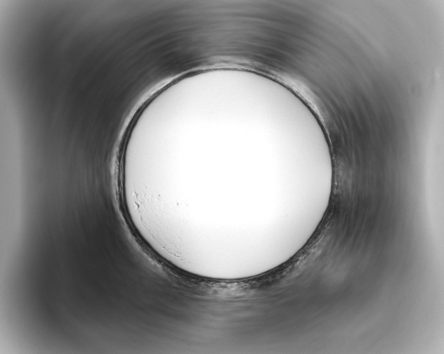 X0000095681003200802051247