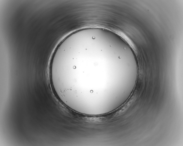 X0000095681004200802051247