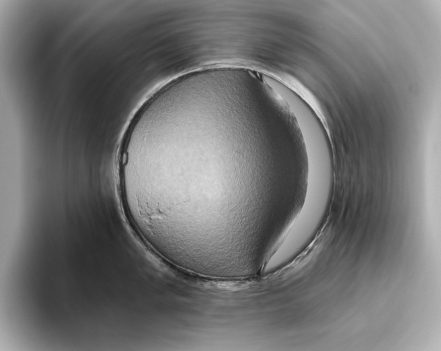 X0000095681005200802051247