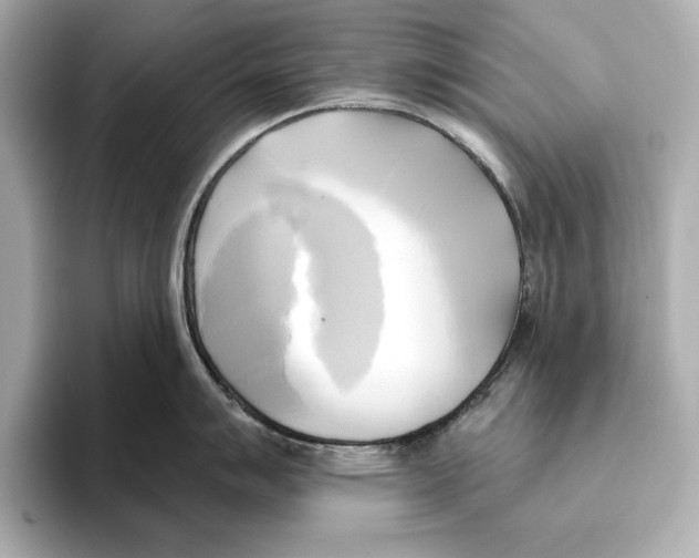 X0000095681007200802051247