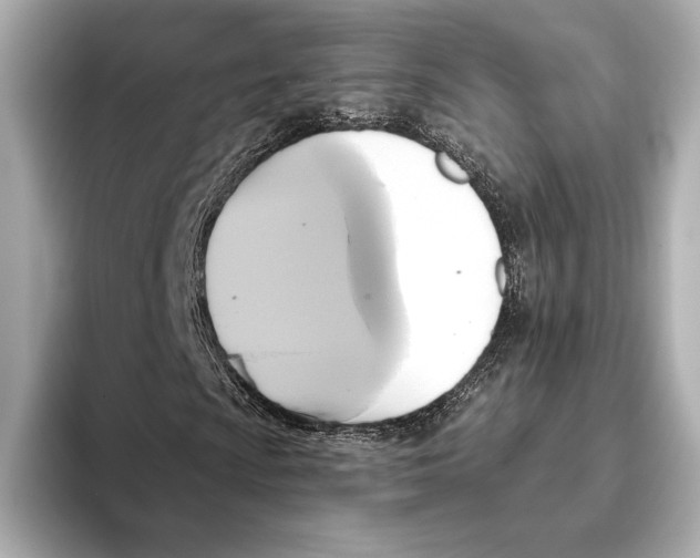 X0000095681009200802051246