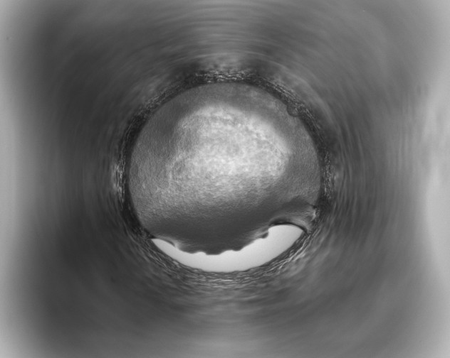 X0000095681010200802051246