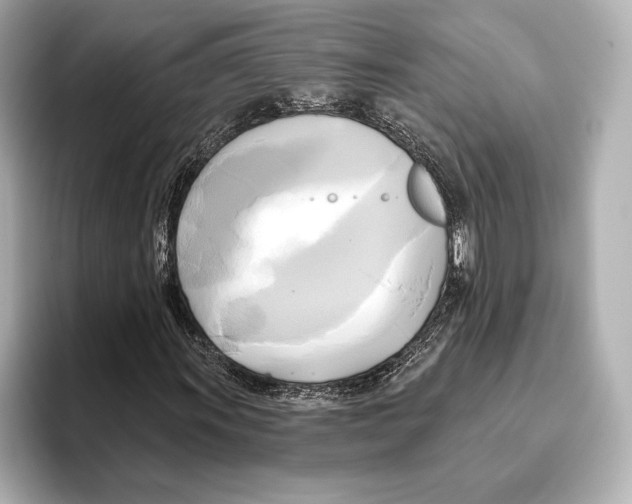 X0000095681011200802051246