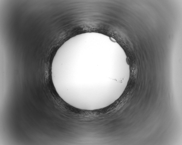 X0000095681012200802051246