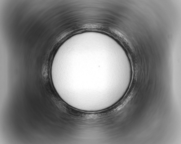 X0000095681017200802051246