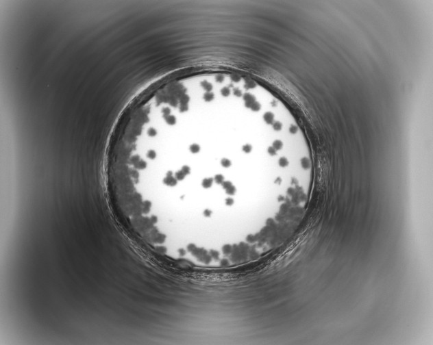 X0000095681020200802051247