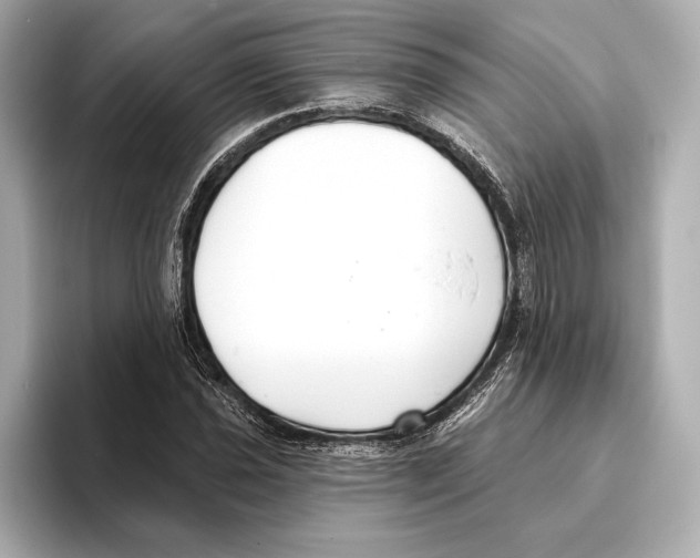 X0000095681021200802051247