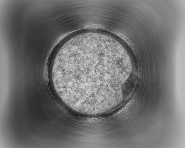 X0000095681022200802051247