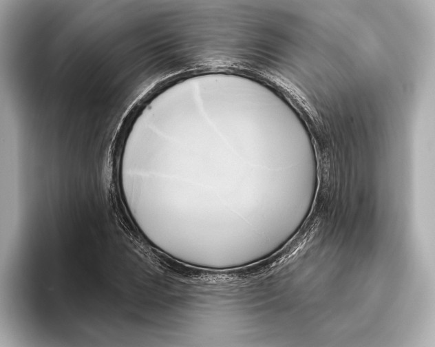 X0000095681023200802051247