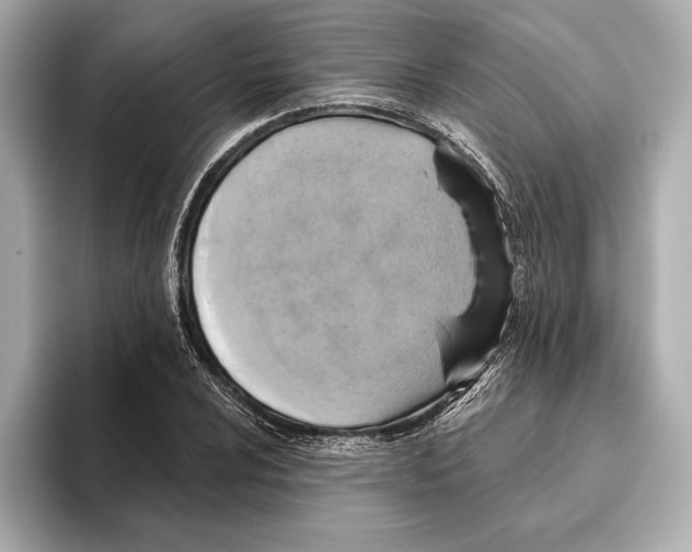 X0000095681024200802051247