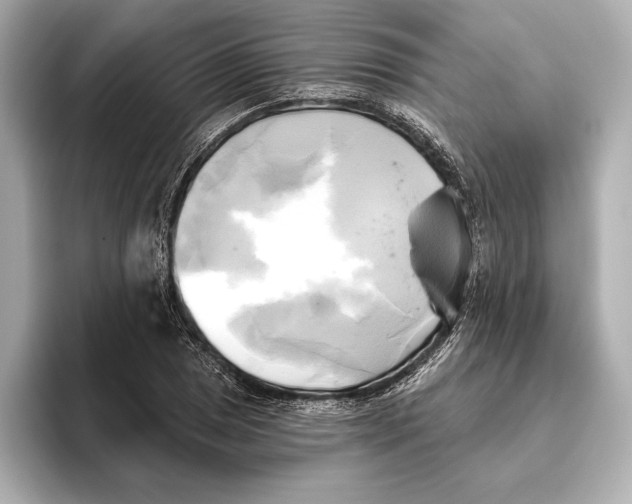 X0000095681025200802051247