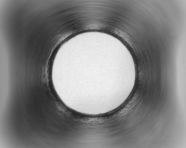 X0000095681026200802051247