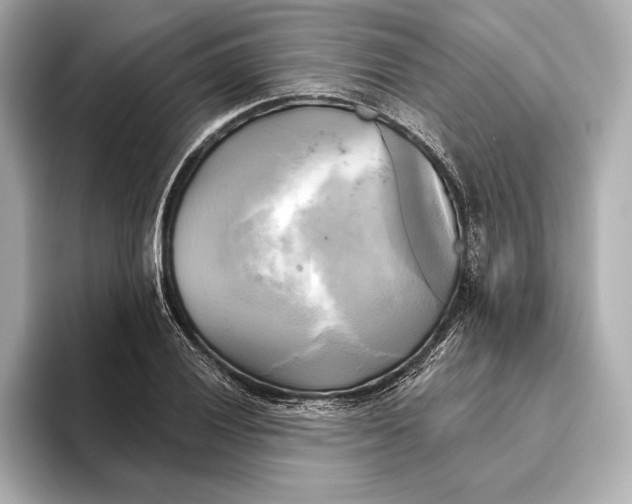 X0000095681028200802051247