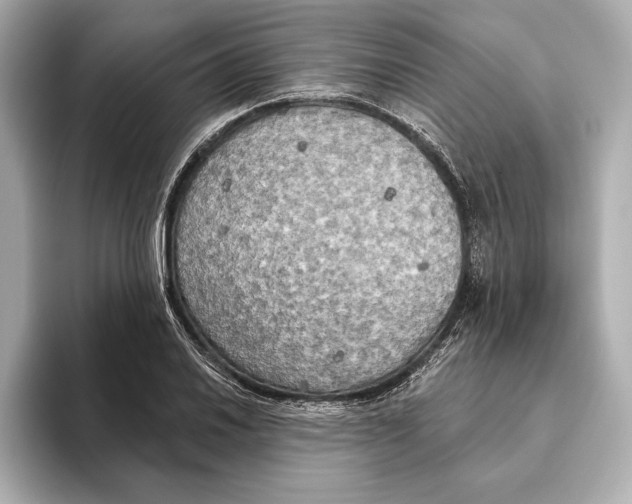 X0000095681030200802051247