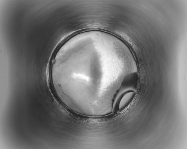 X0000095681032200802051247