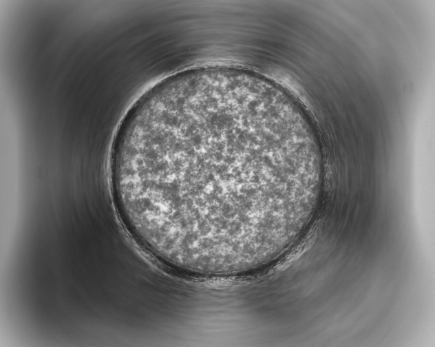 X0000095681038200802051247