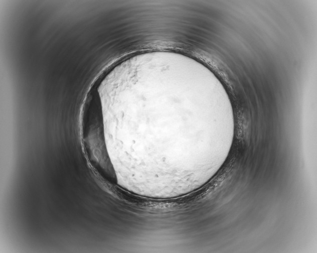 X0000095681039200802051247