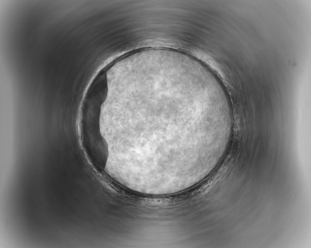 X0000095681040200802051247