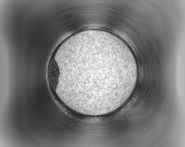 X0000095681042200802051247