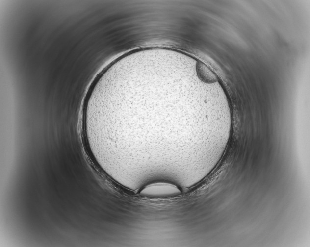 X0000095681044200802051247