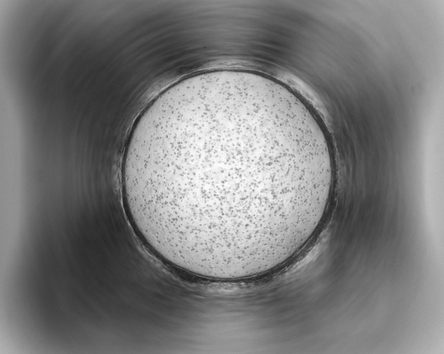 X0000095681049200802051247