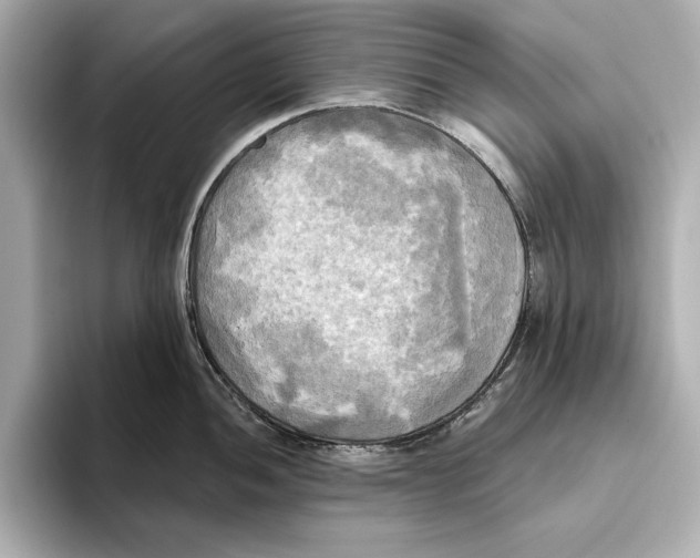 X0000095681052200802051247