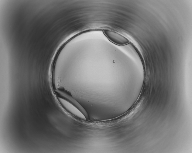 X0000095681053200802051247