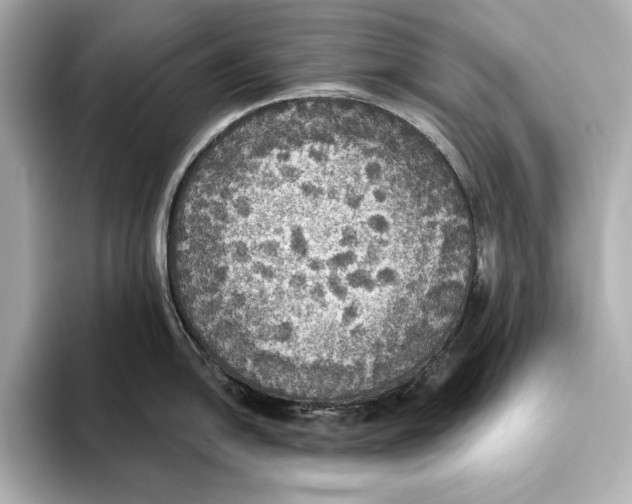 X0000095681054200802051247