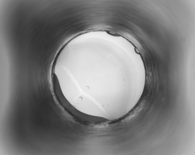 X0000095681055200802051247