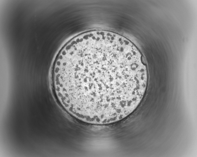 X0000095681056200802051247