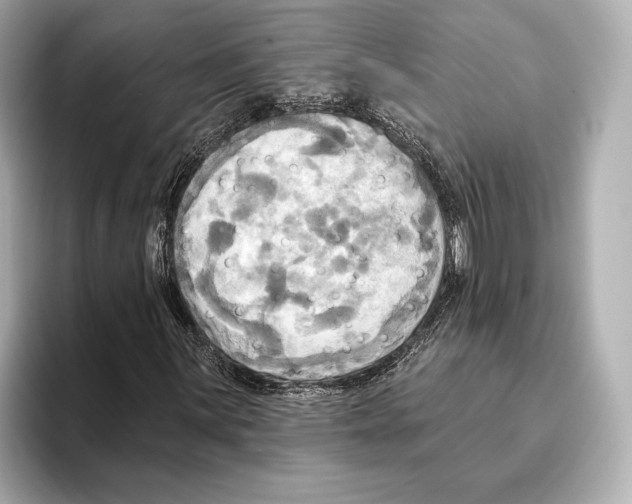 X0000095681059200802051246