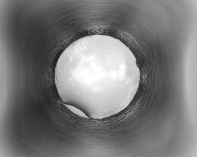 X0000095681060200802051246