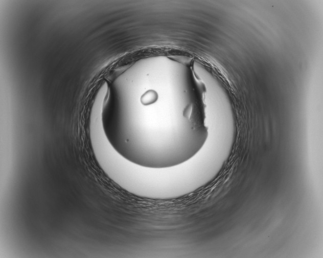 X0000095681064200802051246