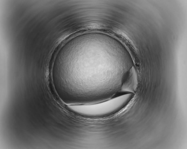 X0000095681065200802051246